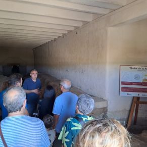 508471120_1180198110810253_4037948307463599395_n