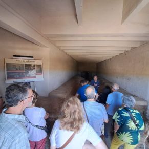 508832776_1180198114143586_2542302988617247206_n