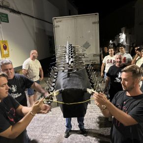 520231169_1206133058216758_5356393783494666728_n