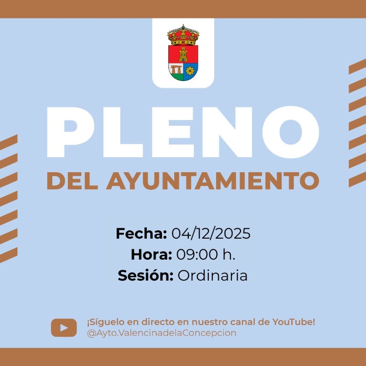 Pleno 4 de diciembre