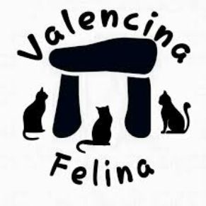 Valencina Felina