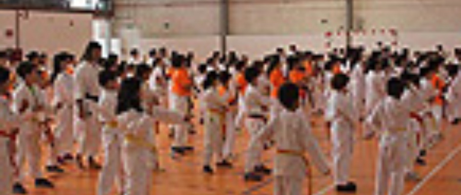 curso_karate_gradas_p.jpg