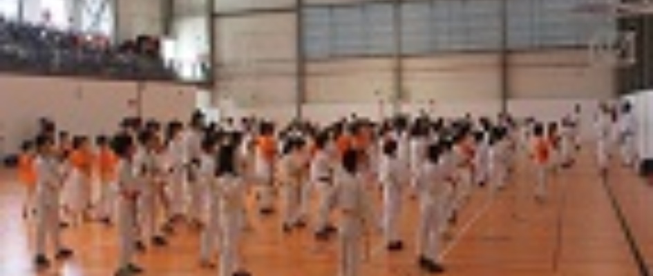 curso_karate_gradas_p.jpg
