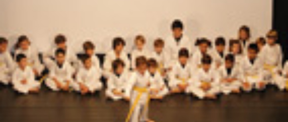 karate2011p.jpg